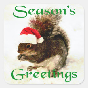 Santa Hat Christmas Squirrel In Snow Square Sticker