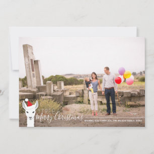 Santa Hat Llama Photo Christmas Holiday Card