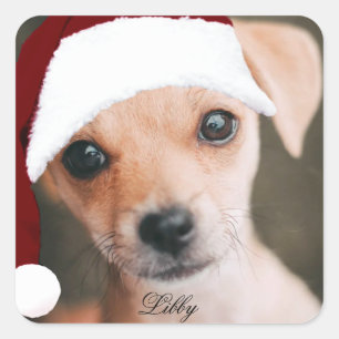 Santa hat pet photo custom personalised photo  squ square sticker