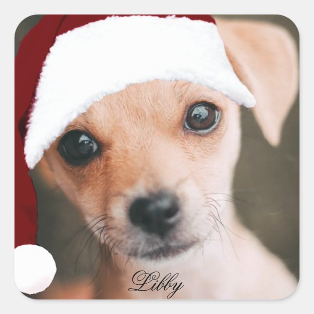 Santa hat pet photo custom personalised photo  squ square sticker (Front)