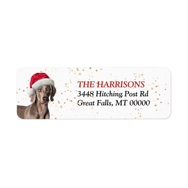 Santa Hat Weimaraner Dog Return Address Label (Front)