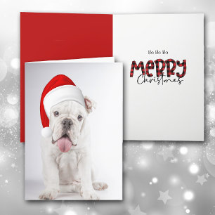 Santa Hat White Bulldog Puppy Christmas Card