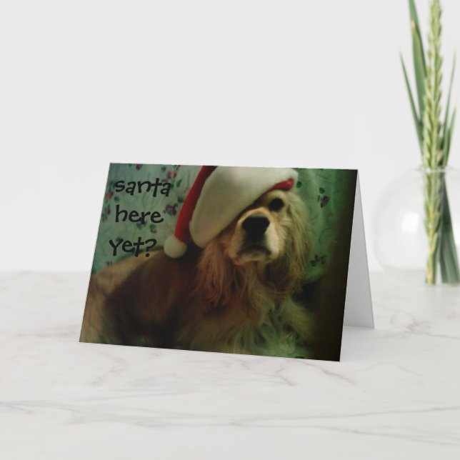 SANTA HERE YET? COCKER SPANIEL LOVE HOLIDAY CARD (Front)