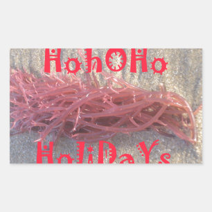 Santa HoHoHo Merry Christmas From Beach colors Rectangular Sticker