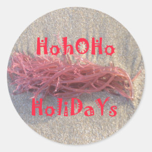 Santa HoHoHo Merry Christmas From Beach colours Classic Round Sticker