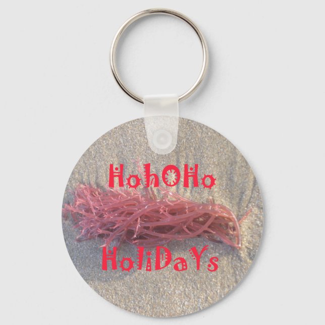 Santa HoHoHo Merry Christmas From Beach colours Key Ring (Front)