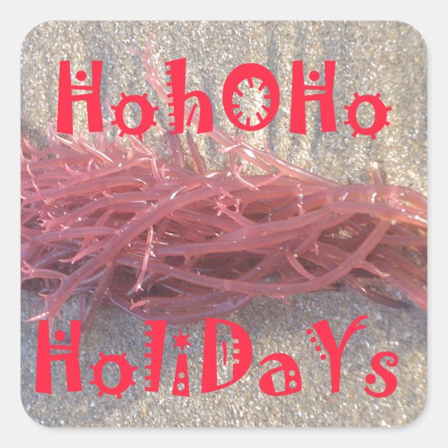 Santa HoHoHo Merry Christmas From Beach colours Square Sticker (Front)