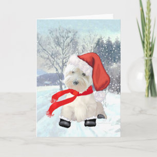 Santa in Boots Holiday Card