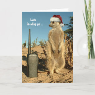 Santa is calling you - Seasons greetings 3 Holiday Card