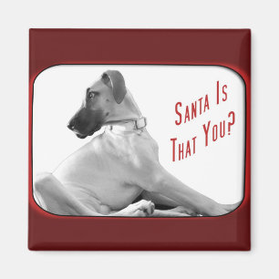 Santa is that you magnet