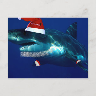 Santa Jaws Holiday Postcard