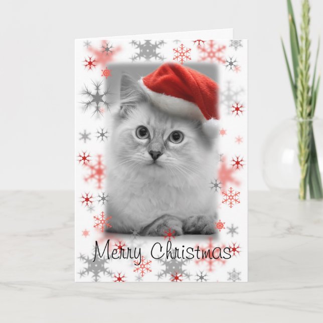 santa kitty christmas card (Front)