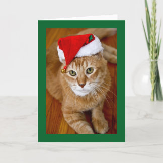 Santa Kitty Christmas Card