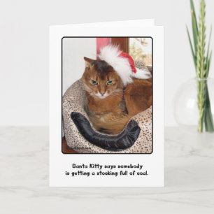 Santa Kitty Christmas Card