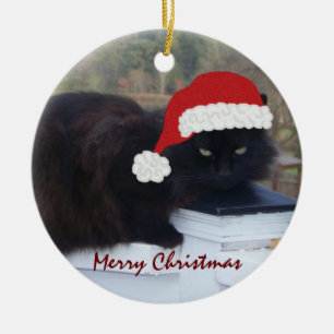 Santa Kitty: Christmas Ornament