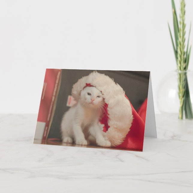 Santa Kitty Holiday Card (Front)