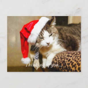 Santa Kitty Painterly Holiday Postcard
