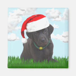 Santa Lab Magnet