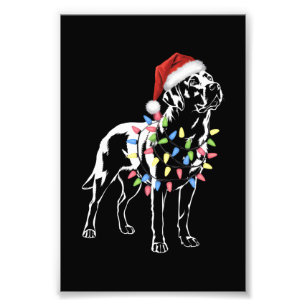 Santa Labrador Retriever Christmas Light Dog Lover Photo Print