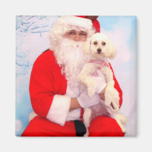 Santa Loves Dogs