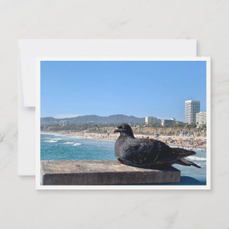 Santa Monica, CA Postcard
