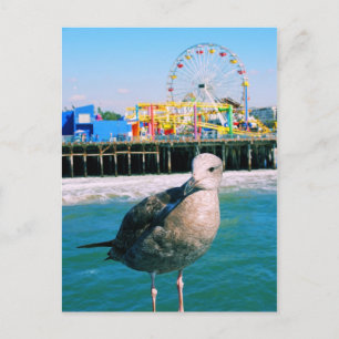 Santa Monica Pier Visitor Postcard