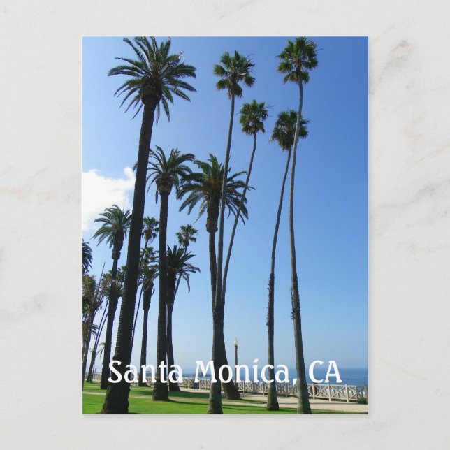 Santa Monica Postcard! Postcard (Front)