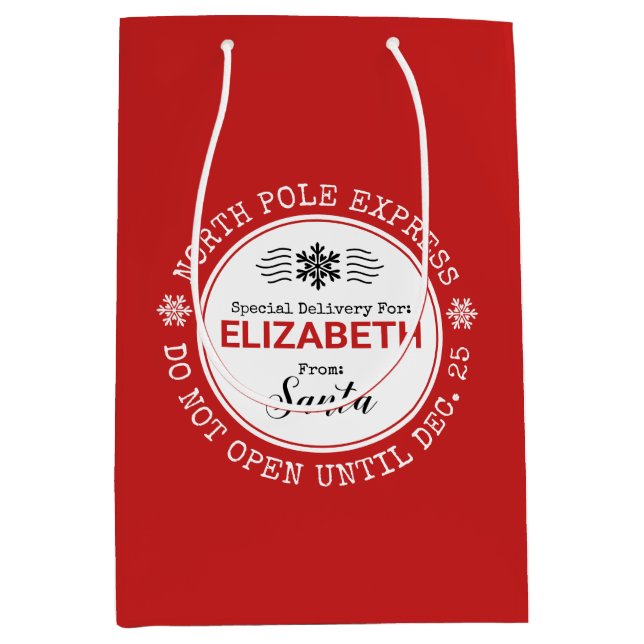 Santa North Pole Special Delivery Christmas Medium Gift Bag (Front)
