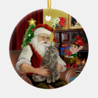 Santa - Norwegian Forest Cat