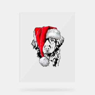 Santa Nova Scotia Duck Tolling Retriever Christmas Acrylic Sign