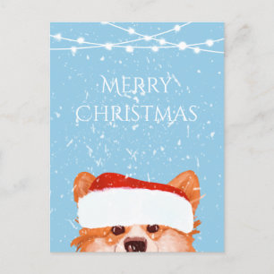  Santa Orange Corgi Merry Christmas  Blue  Postcard