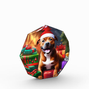 "Santa Paws: A Staffy’s Festive Surprise" Photo Block