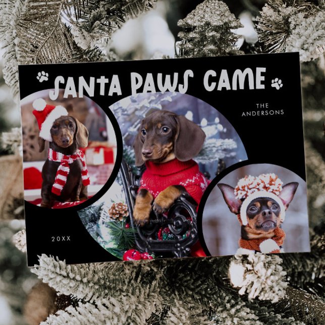 Santa Paws Black Dog Photo Holiday Card (Creator Uploaded)