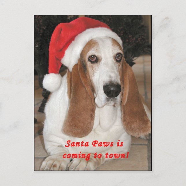 Santa Paws Blank Postcard (Front)