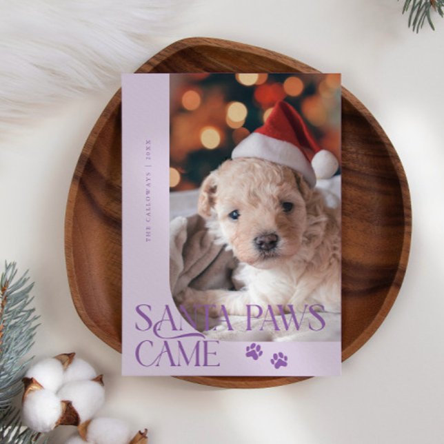 Santa Paws Came Dog Photo Purple Christmas Holiday Card (Creator Uploaded)