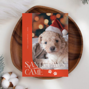 Santa Paws Came Dog Photo Red Christmas Holiday Card