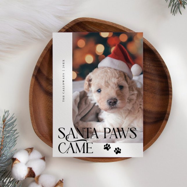 Santa Paws Came Dog Photo White Christmas Holiday Card (Creator Uploaded)