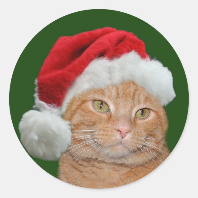 Santa Paws Classic Round Sticker (Front)