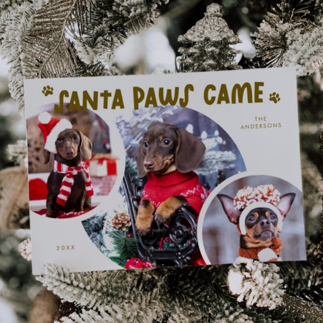 Santa Paws Cream Dog Photo Holiday Card (Creator Uploaded)