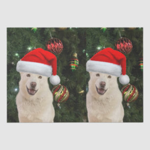 Santa Paws - Crystal the Husky Dog Christmas Tissue Paper