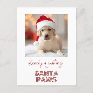 Santa Paws - Dog lover Christmas Holiday Postcard