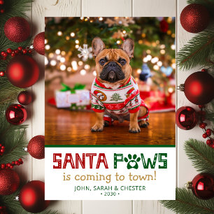Santa Paws Dog Photo Holiday Card