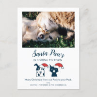 Santa Paws | Funny Cat and Dog Pet Photo