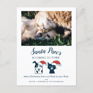 Santa Paws   Funny Cat and Dog Pet Photo Holiday Postcard