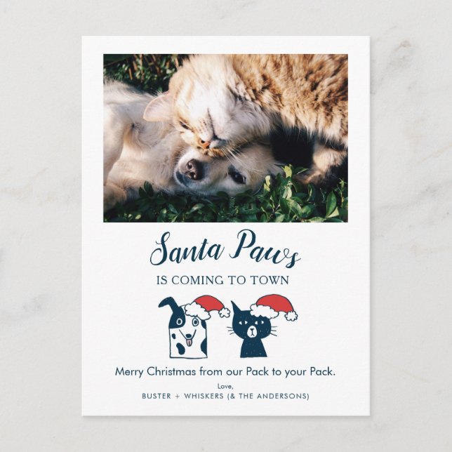Santa Paws | Funny Cat and Dog Pet Photo Holiday Postcard (Front)