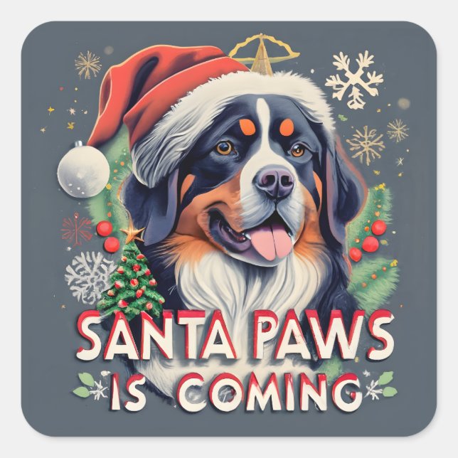 Santa Paws Is Coming Bernese  Dog Christmas Square Sticker (Front)