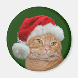 Santa Paws Magnet