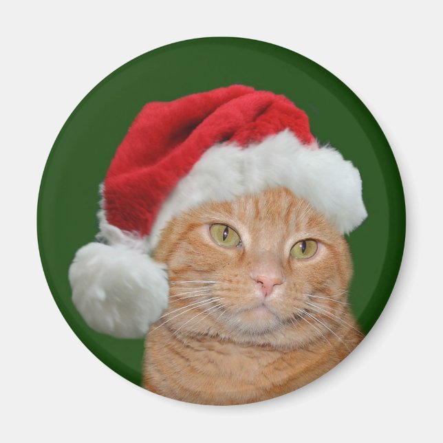 Santa Paws Magnet (Front)