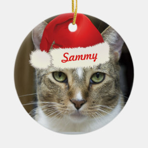 Santa Paws Ornament