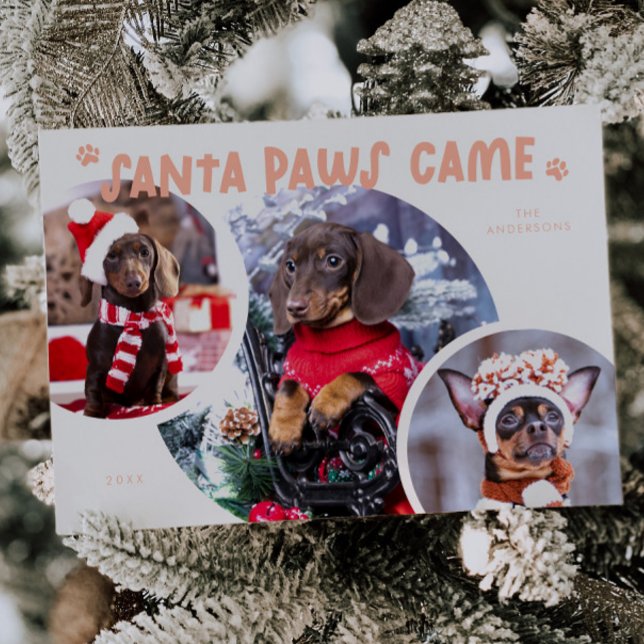 Santa Paws Peach Dog Photo Holiday Card (Creator Uploaded)